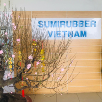 Tuyển Lập trình viên thu nhập Thỏa thuận Toàn thời gian tại Hải Phòng - Công Ty Trách Nhiệm Hữu Hạn Sumirubber Viet Nam