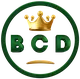 Tuyển dụng việc làm Công ty cổ phần tập đoàn BCD Blockchain