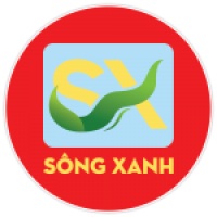 Tuyển Kế Toán Tổng Hợp thu nhập 15 - 17 triệu Toàn thời gian tại Hồ Chí Minh - Công Ty TNHH Thương Mại Xuất Nhập Khẩu Sông Xanh