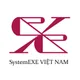 Tuyển dụng việc làm CÔNG TY TNHH SYSTEMEXE VIỆT NAM