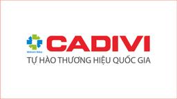 Tuyển Kế toán tổng hợp thu nhập Thương lượng tại Bắc Ninh - Công Ty TNHH MTV Cadivi Miền Bắc
