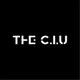 Tuyển Kế Toán Nội Bộ thu nhập 8 - 12 triệu Toàn thời gian tại Hồ Chí Minh - CÔNG TY TNHH TM THE C.I.U