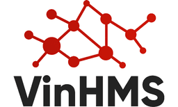 Tuyển Business Intelligence thu nhập Thương lượng tại Hồ Chí Minh - VinHMS
