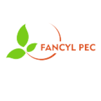 Tuyển Kế toán bán hàng thu nhập Thỏa thuận Toàn thời gian tại Hà Nội - công ty TNHH FANCYL PEC