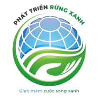 Tuyển Kế toán công nợ thu nhập 8 - 12 triệu VNĐ tại Hà Nội - Công ty Cổ phần Phát triển Rừng xanh Việt Nam