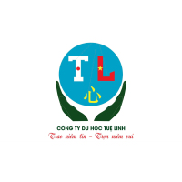 Tuyển Nhân viên Marketing thu nhập Thỏa thuận tại Hải Phòng - CÔNG TY TNHH DU HỌC TUỆ LINH CHI NHÁNH HẢI PHÒNG