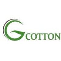 Tuyển Kế toán tổng hợp thu nhập 13 - 17 triệu VNĐ tại Hà Nội - Công ty TNHH G COTTON Việt Nam