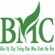 Công ty Cổ phần BMC Việt Nam