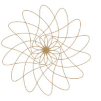 Công Ty TNHH Stack Tech