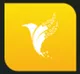 Tuyển dụng việc làm CÔNG TY TNHH DIGIBIRD