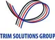 Tuyển dụng việc làm Công ty TNHH Trim Solutions Group