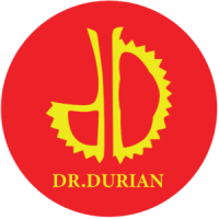 Tuyển Nhân viên kinh doanh thu nhập 10 - 12 triệu VNĐ Toàn thời gian tại Cần Thơ - Công Ty TNHH Dr.durian