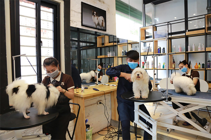 Mức lương của nhân viên chăm sóc thú cưng cũng tùy thuộc năng lực và kinh nghiệm làm việc