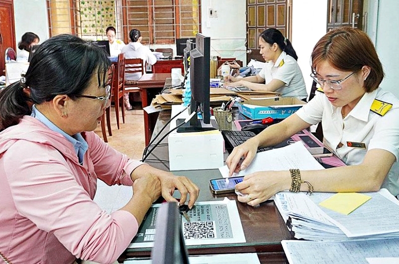 Chuyên viên thường hỗ trợ doanh nghiệp, cá nhân tuân thủ đúng các quy định về thuế