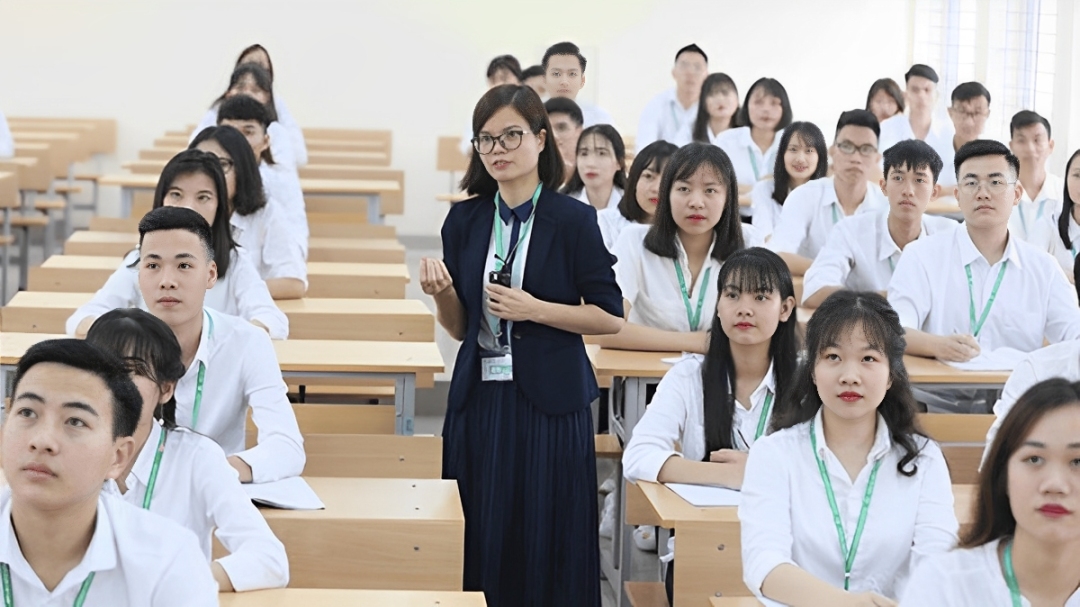 Phân loại giảng viên dựa vào độ trình độ chuyên môn, nhiệm vụ giảng dạy và vai trò học thuật