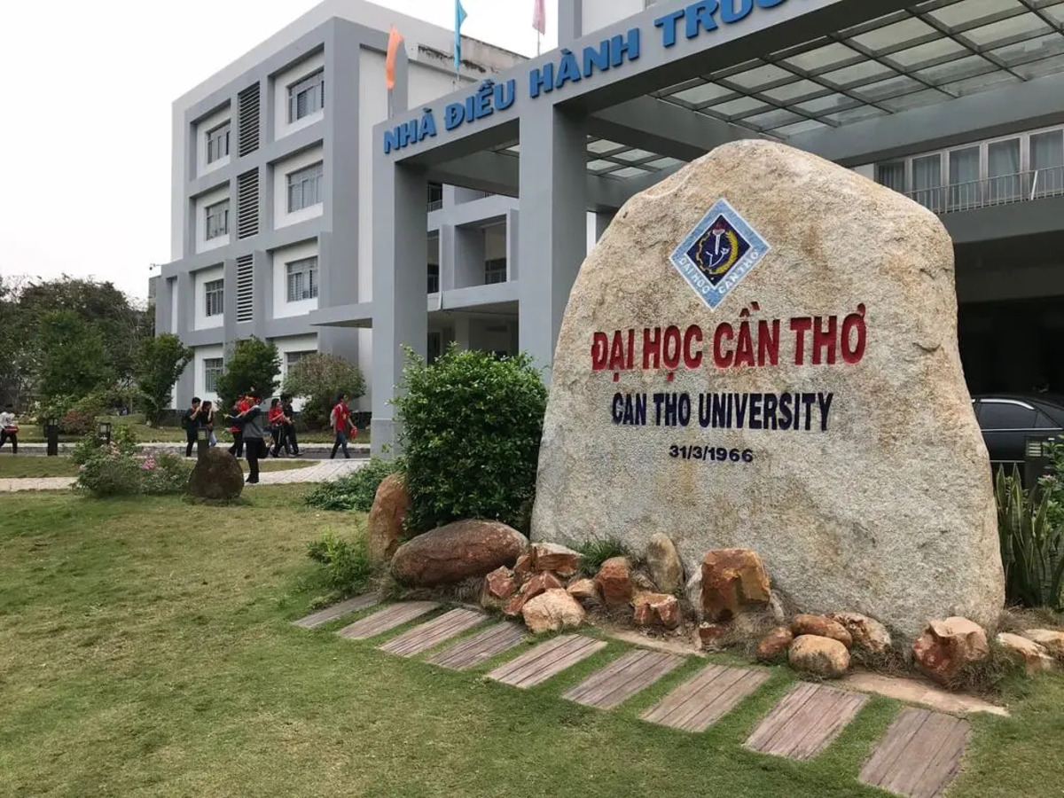 Đại học Cần Thơ là một trong những cơ sở đào tạo uy tín về ngành sư phạm tiếng anh tại khu vực Đồng bằng sông Cửu Long