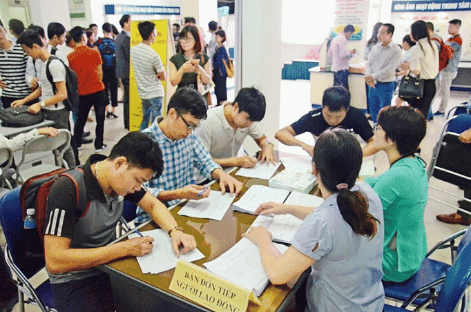 Bạn có thể tìm việc làm Bình Định tại các Trung tâm Dịch vụ việc làm của tỉnh để được tư vấn chuyên sâu