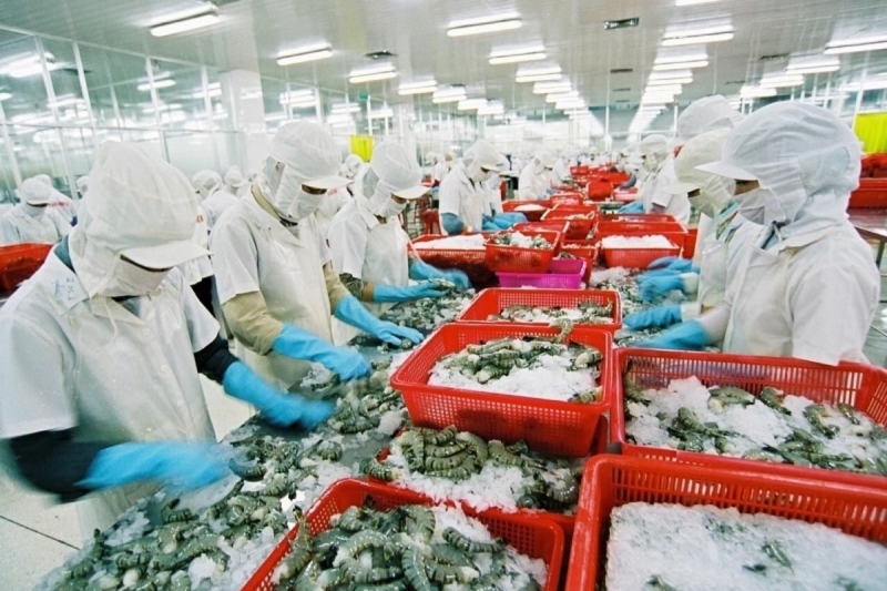 Ngành thủy sản ở Trà Vinh khá phát triển nhờ điều kiện tự nhiên và cách nuôi trồng đặc biệt
