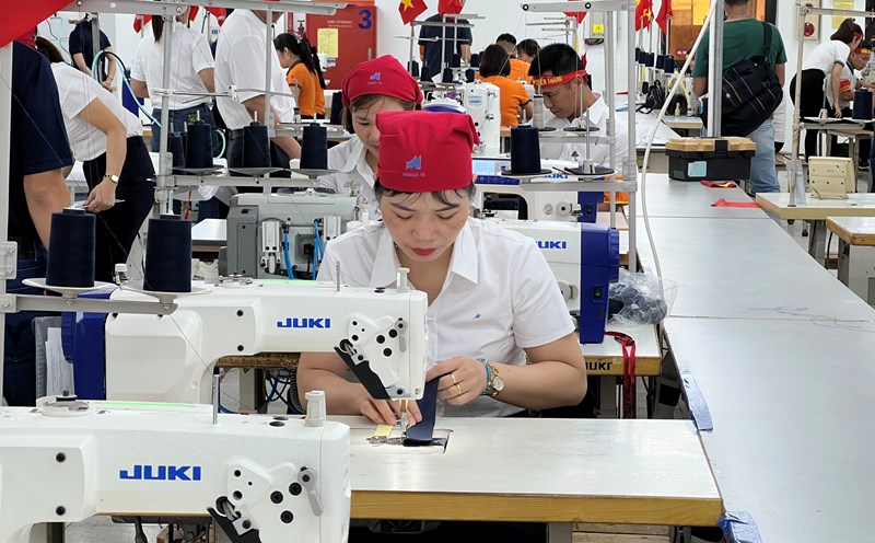 Quận Tân Phú là nơi có nhu cầu tuyển lao động về ngành dệt may tương đối cao
