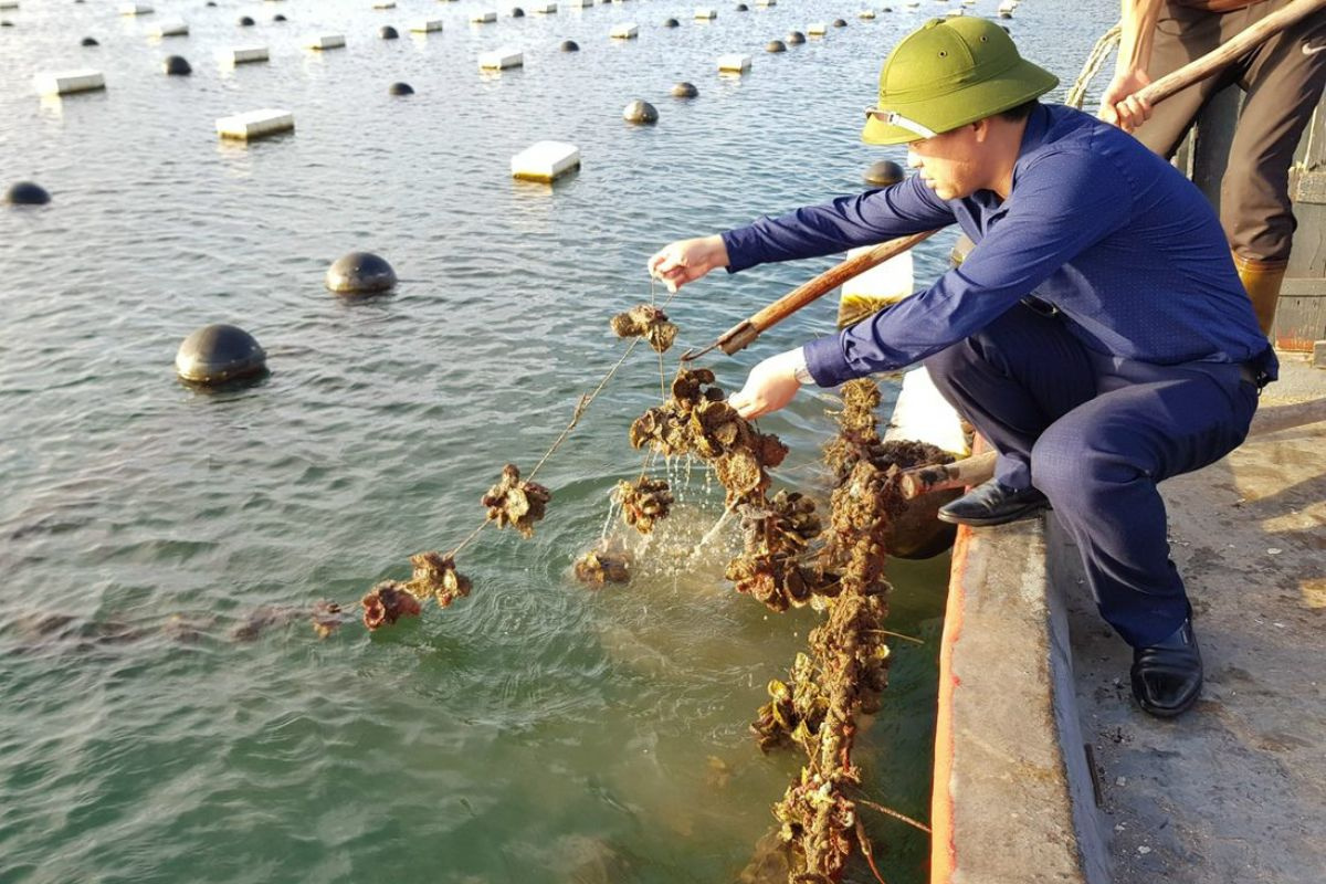 Việc làm thủy sản tại Bạc Liêu tập trung ở nơi có nhiều nhà máy chế biến hải sản như thành phố Bạc Liêu, huyện Đầm Dơi và thị xã Giá Rai