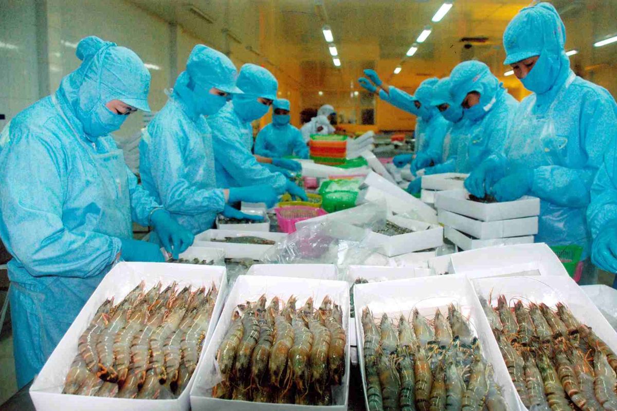 Tại Ninh Hòa sở hữu nhiều nhà máy chế biến thực phẩm thủy sản thu hút nguồn nhân lực lớn