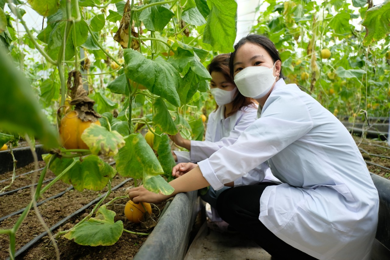 Nhu cầu tìm việc làm ngành nông nghiệp ngày càng gia tăng nhờ vào tiềm năng của thị trường xuất nhập khẩu