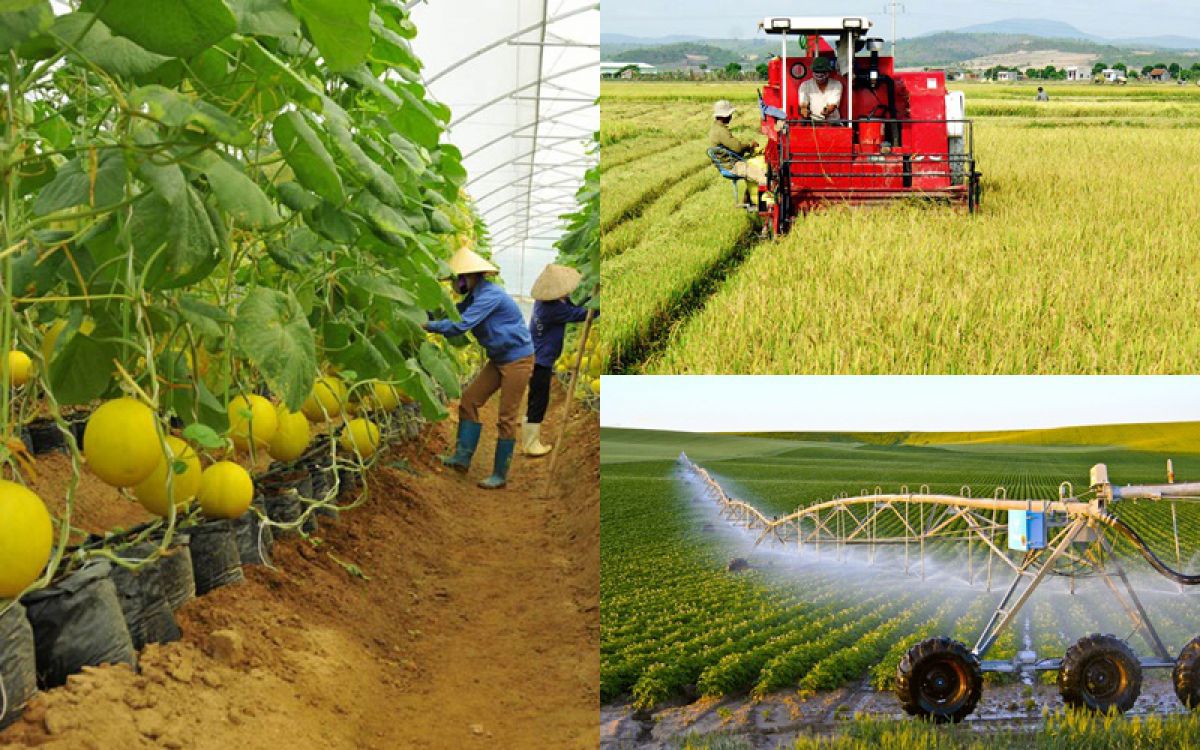 Với mảnh đất màu mỡ, Cần Thơ mang lại nhiều cơ hội việc làm ngành nông nghiệp